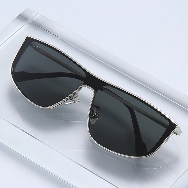 Einteilige Sonnenbrille mit Me – Metal Photo Panel Bewertung und Preis